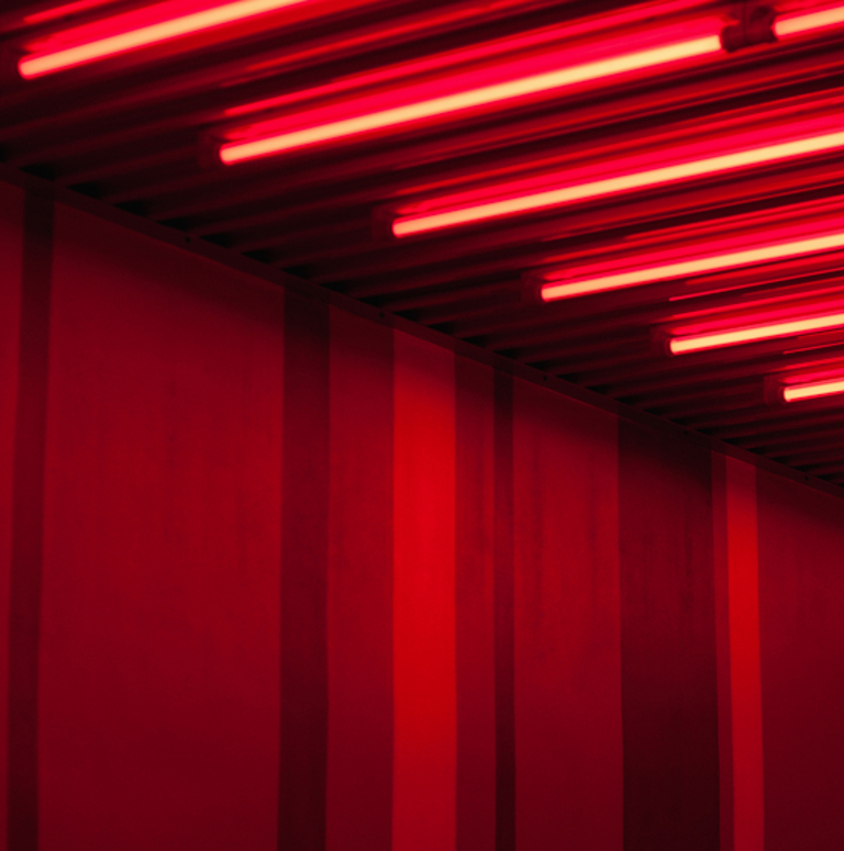 Shutterstock 2124397676